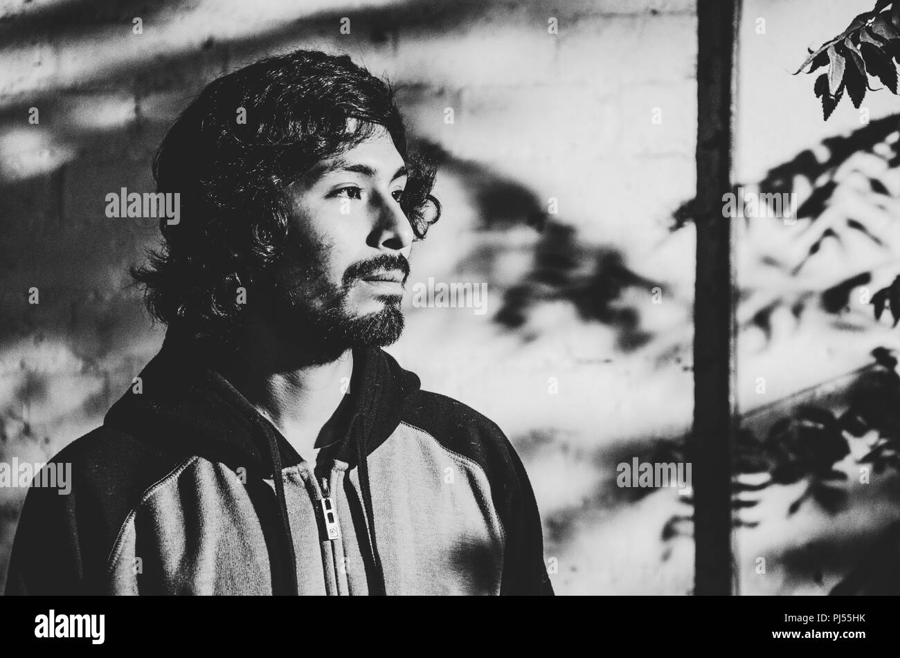 Portrait de jeune homme à barbe, portant chemise et nuances d'arbres dans le parc Banque D'Images