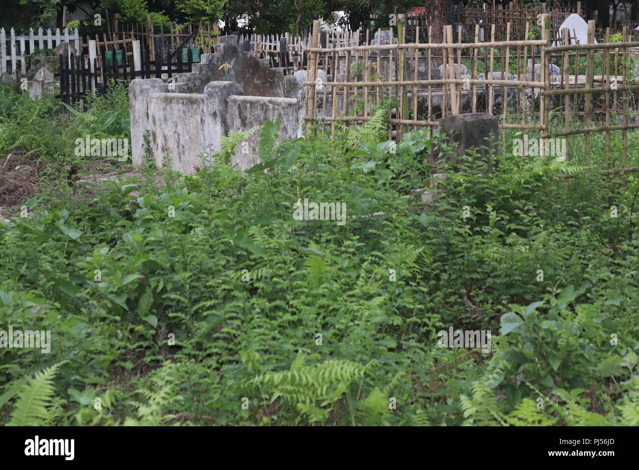 Tombes au cimetière musulman musulmane.cimetière avec entouré par une clôture de bambou.Nouveau Bangladesh cimetière avec l'escrime en bambou. Banque D'Images
