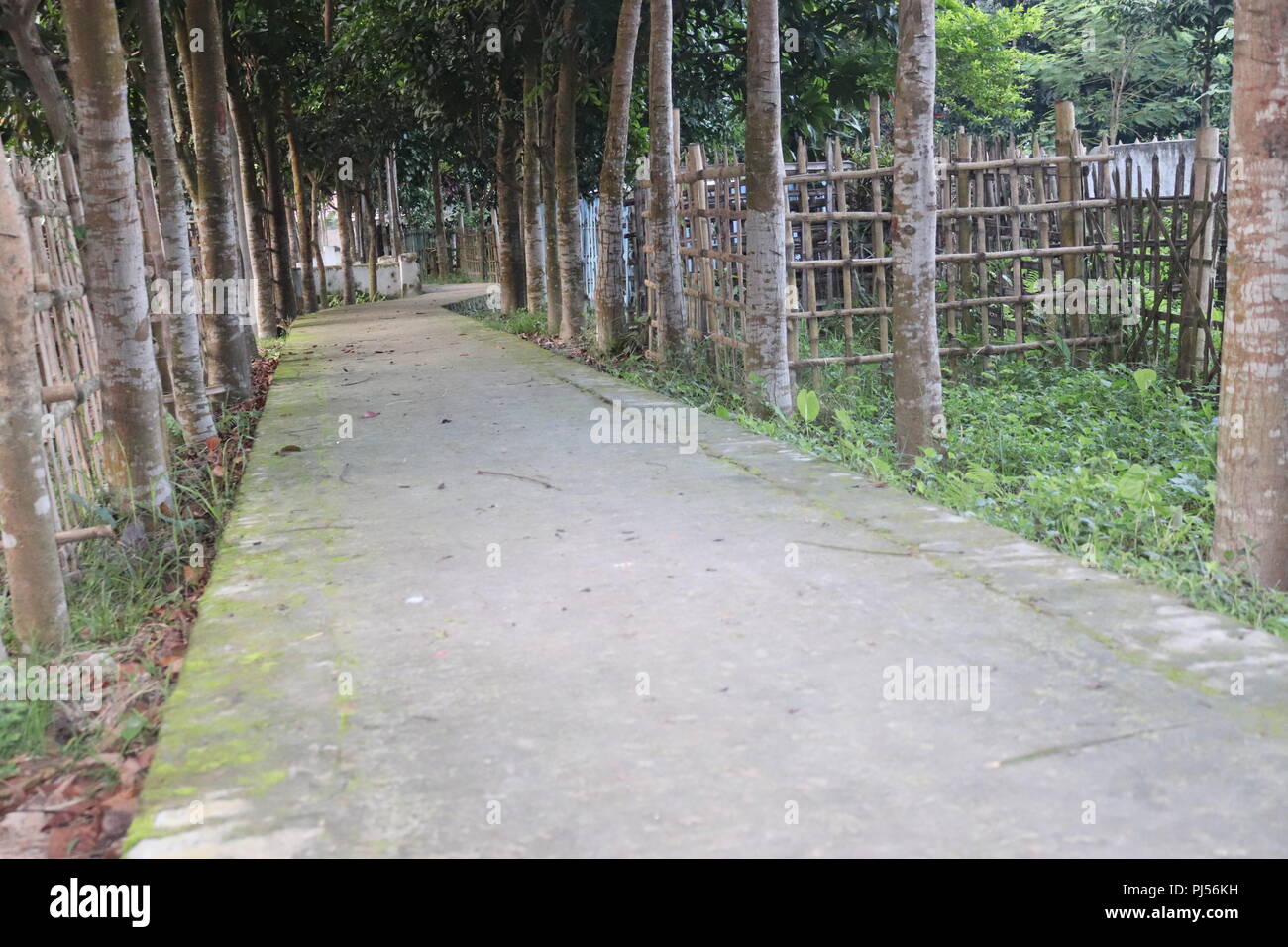 Tombes au cimetière musulman musulmane.cimetière avec entouré par une clôture de bambou.Nouveau Bangladesh cimetière avec l'escrime en bambou. Banque D'Images