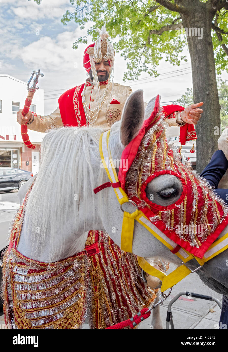 Selon la tradition, un Sikh groom sur un cheval blanc obtient lu de trajet de sa cérémonie de mariage. À Richmond Hill, Queens, NY Banque D'Images