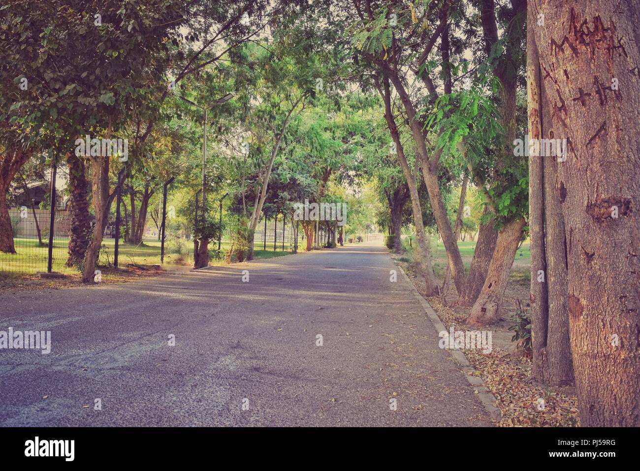 route Banque D'Images