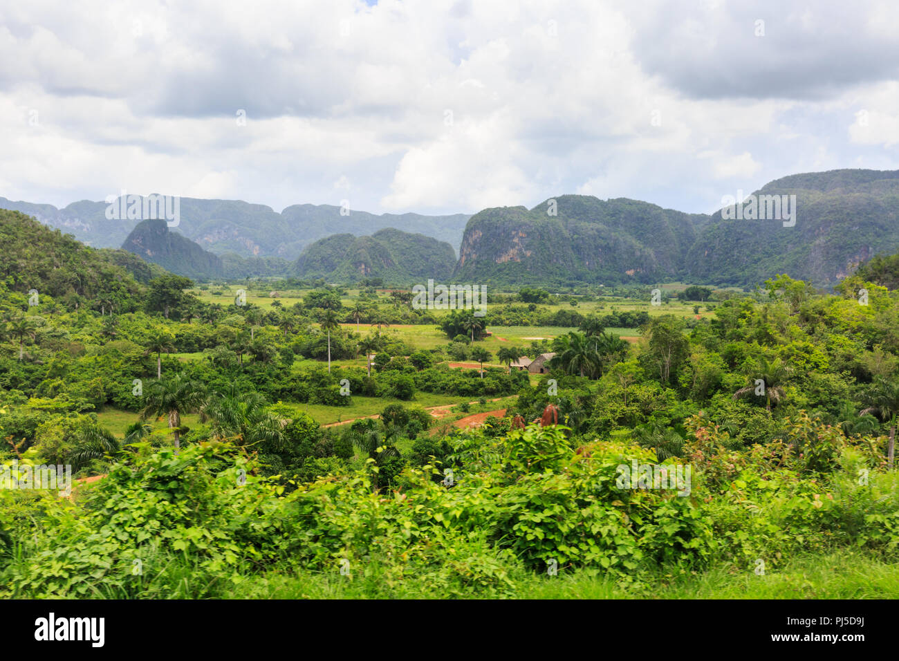 Vallée de Viñales panorama, vue sur paysage luxuriant, province de Pinar del Rio, Cuba Banque D'Images Vallée de Viñales panorama, vue sur paysage luxuriant, province de Pinar del Rio, Cuba Banque D'Images