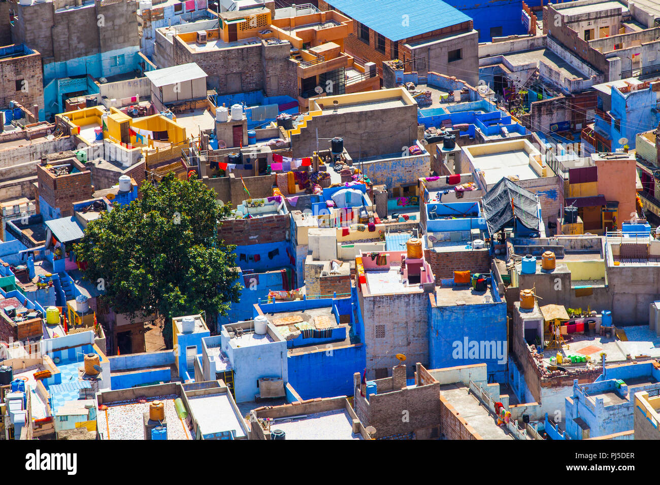 La ville bleue, Jodhpur, Inde Banque D'Images