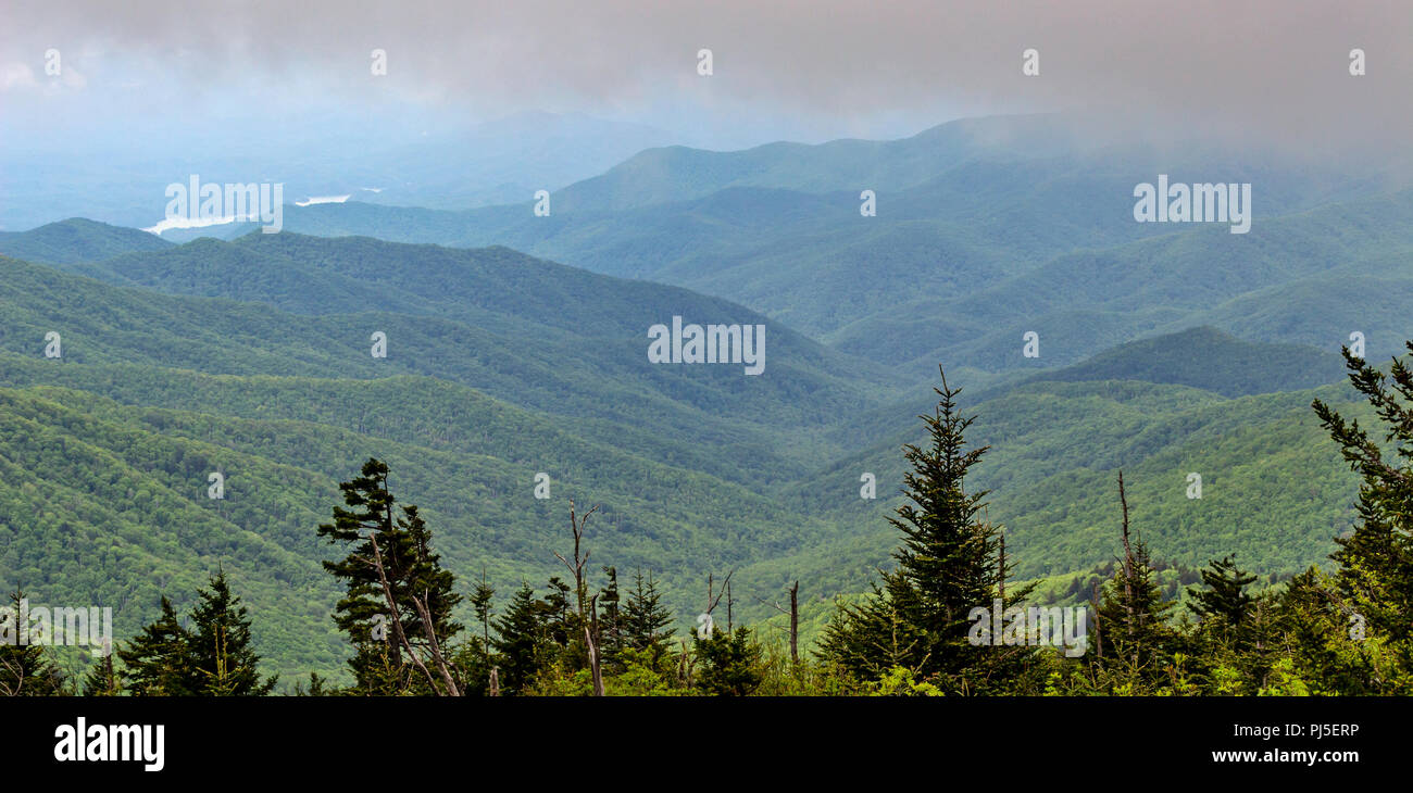 Une vue sur le parc national des Great Smoky Mountains Banque D'Images