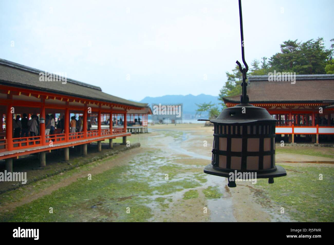 Itsukushima Shrine 厳島, Miyajima Japon, regardant pour voir avec la porte de minerai endommagée en arrière-plan Banque D'Images