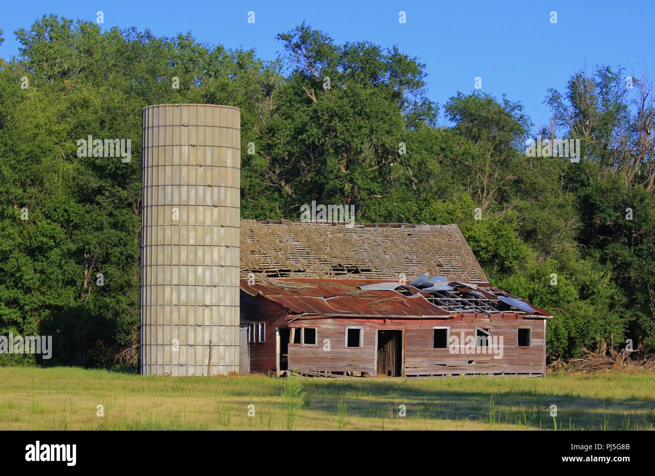 Kansas Country Barn et Silo avec l'arbre vert et bleu ciel. Banque D'Images