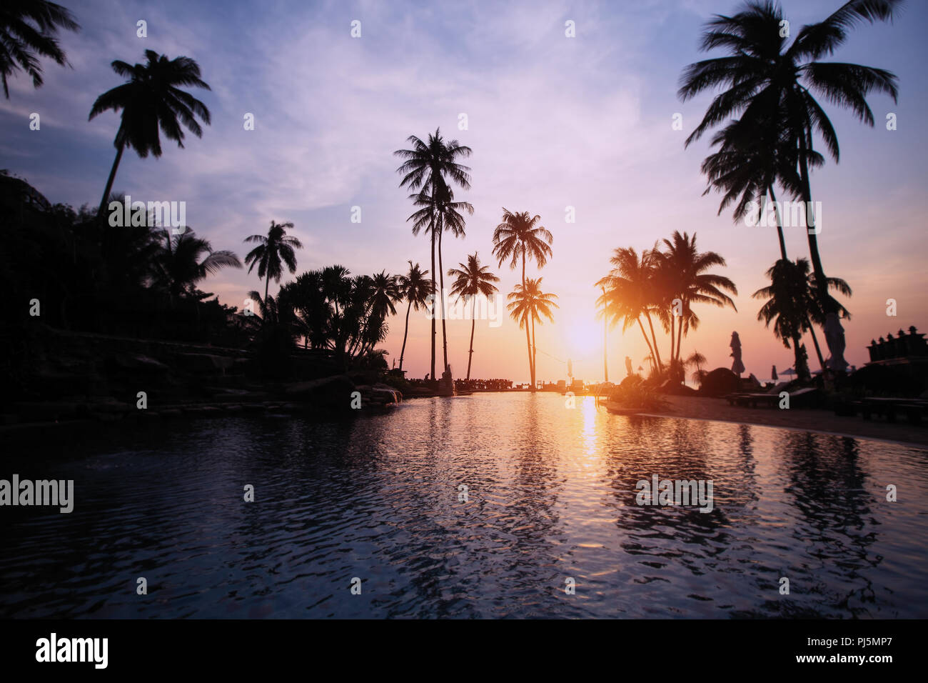 Magnifique coucher de soleil avec des silhouettes de palmiers sur une plage tropicale. Banque D'Images