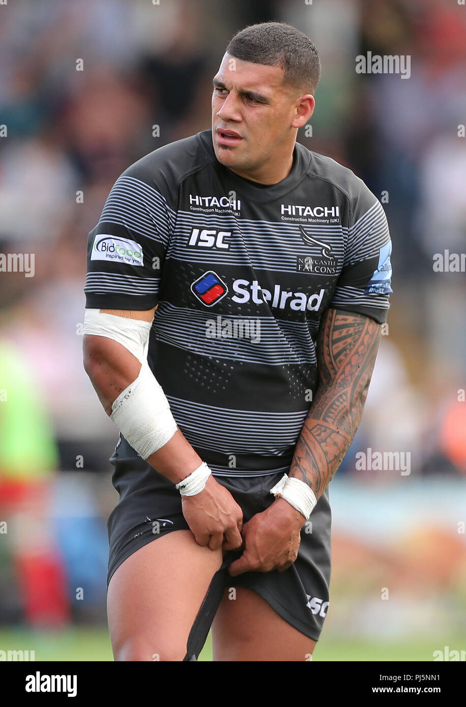 Newcastle Falcons' Josh Matavesi au cours de la Premiership match Gallagher à Kingston Park, Newcastle Le 2 septembre 2018. Banque D'Images