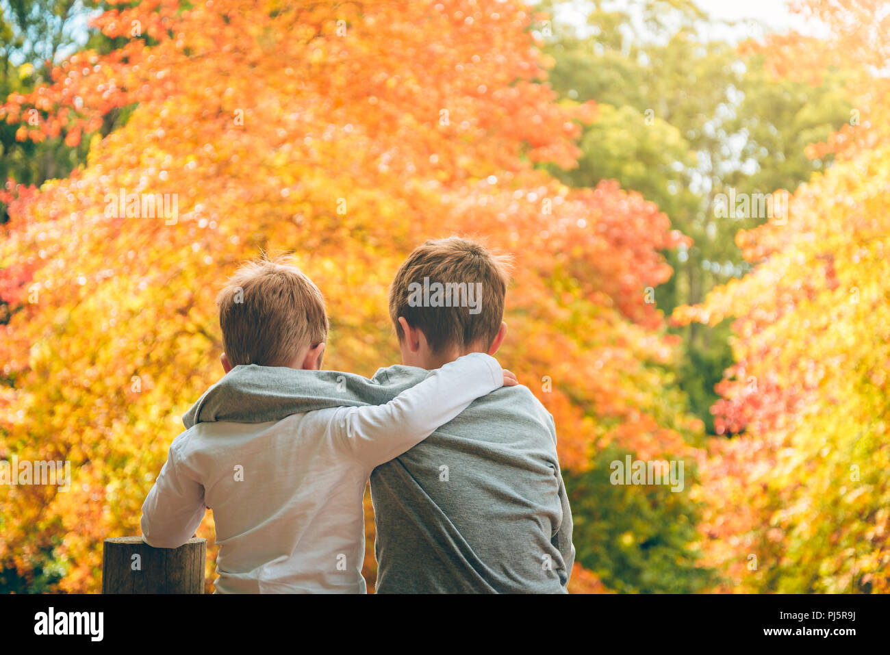 Embrassant assis dans frères forêt d'automne et à rêver de quelque chose Banque D'Images