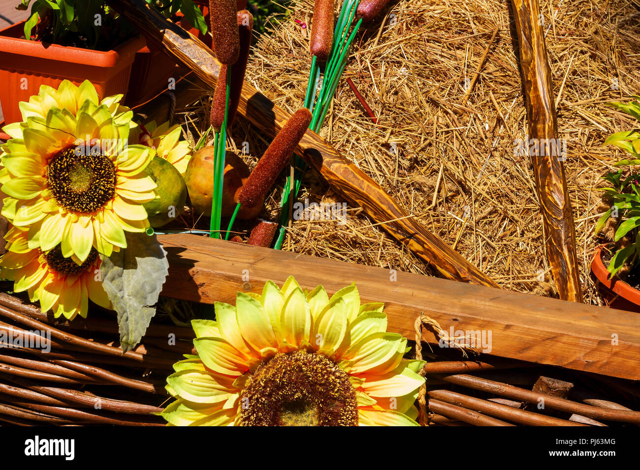 Ancien wagon de l'automne avec les citrouilles et le tournesol. Banque D'Images