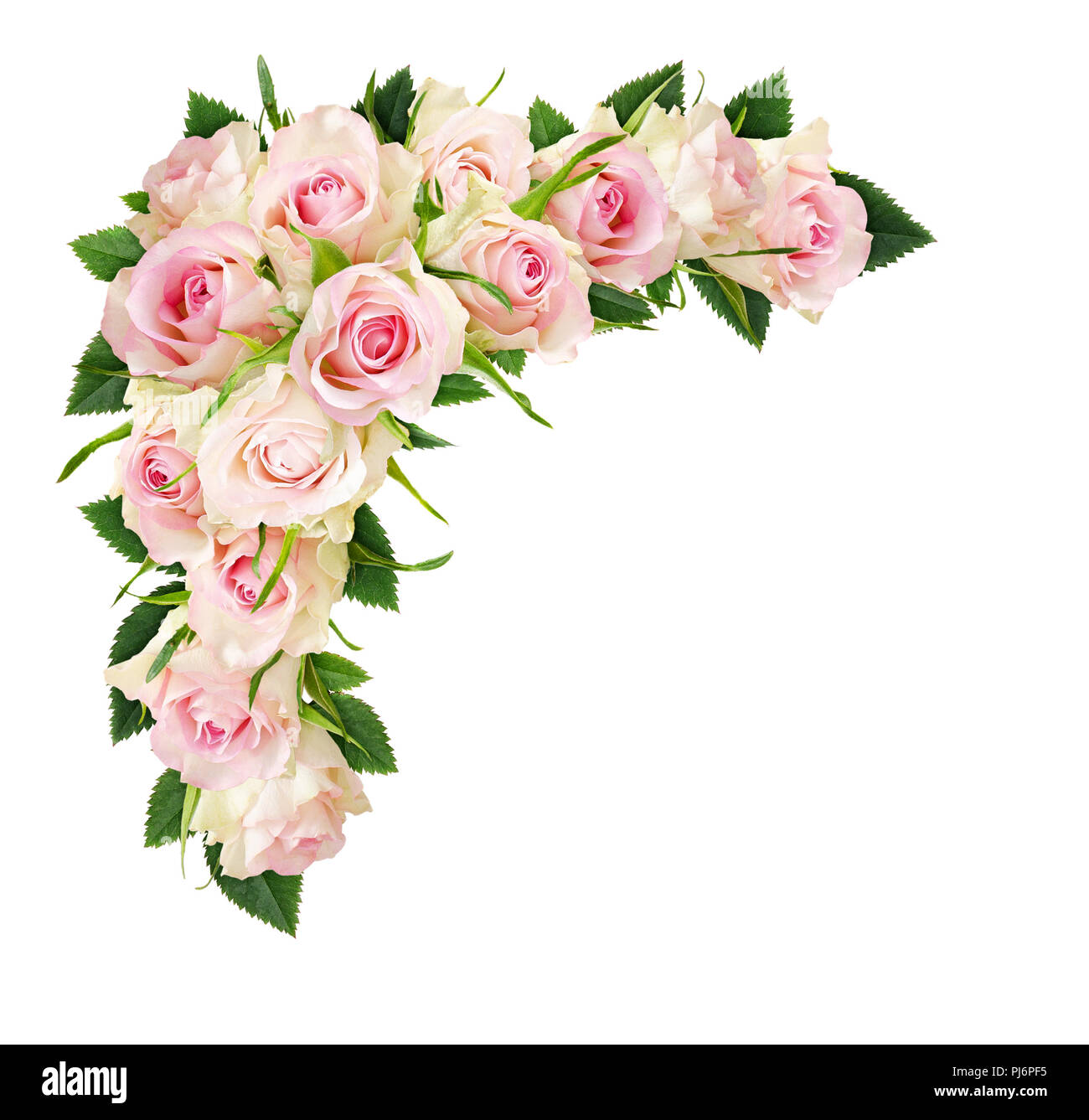 Set Complet De 40 Pièces Motif De Fleurs, ROSE BLANCHE Fleurs & Pétales, Amour & Mariage 20 Feuilles De Papier à Lettres Et 20 Enveloppes DIN LONG Sans Fenêtre | Paper-Media