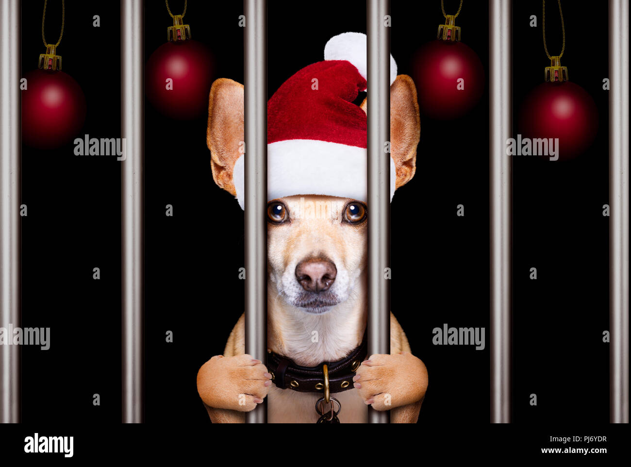 Des électroniques de a christmas santa mauvais chien derrière les barreaux en prison ou Banque D'Images