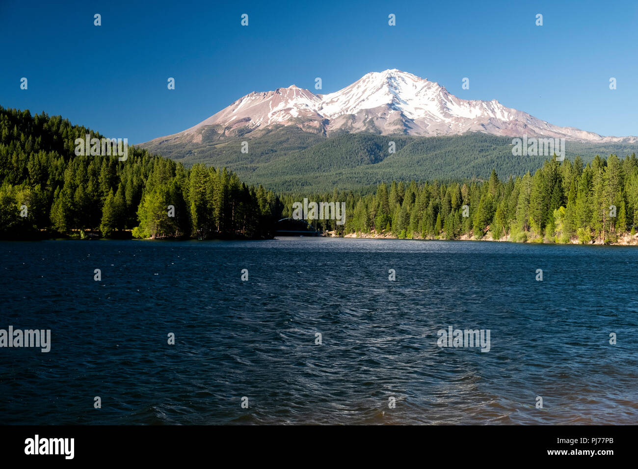 Mt. Shasta en Californie du Nord vues de jour dans les montagnes Siskiyou Banque D'Images