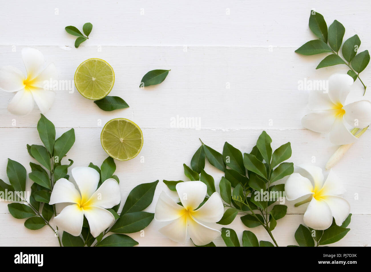 Fleur blanche avec des feuilles et des parfums de frangipanier arrangement citron sur fond blanc Banque D'Images