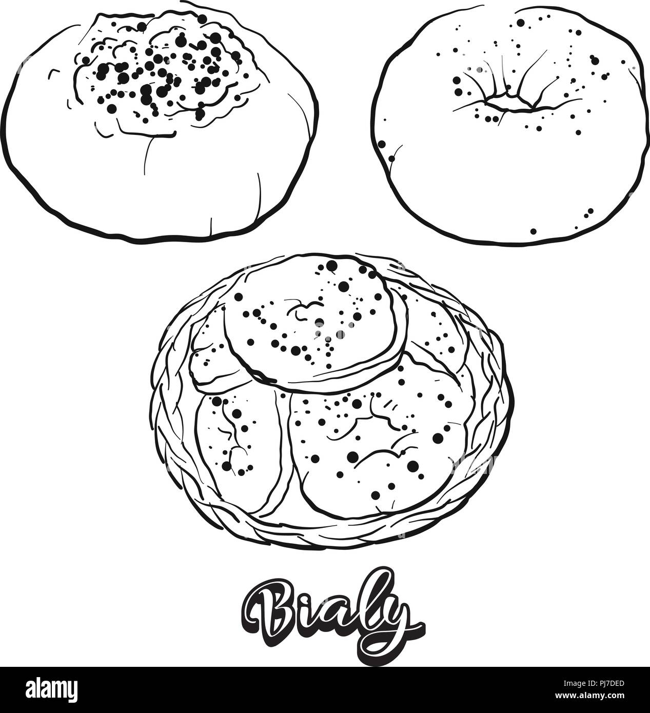 Croquis dessinés à la main de Bialy pain. Dessin vectoriel de la levure alimentaire pain, habituellement connu en Europe centrale. Illustration du pain series. Illustration de Vecteur