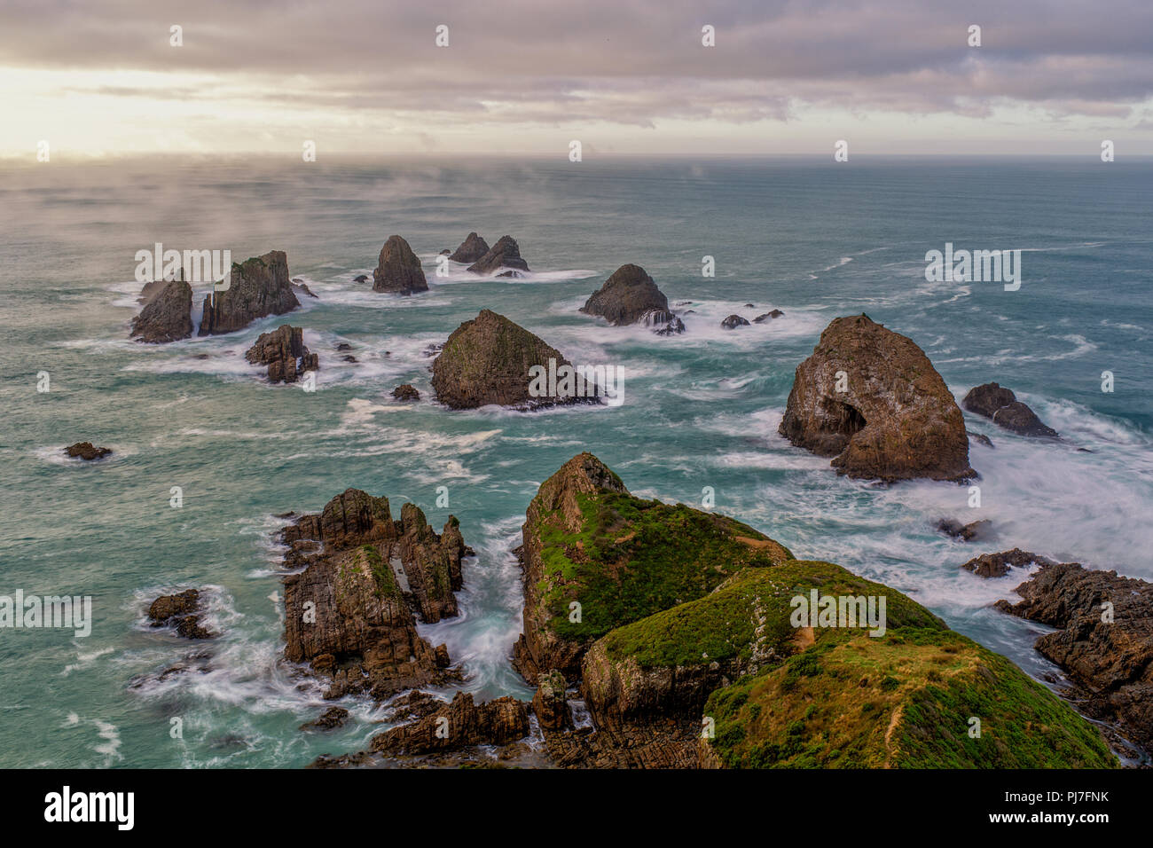 Nugget Point célèbre à la côte Catlins sauvage en Nouvelle-Zélande, île du Sud, l'Océan Pacifique Banque D'Images