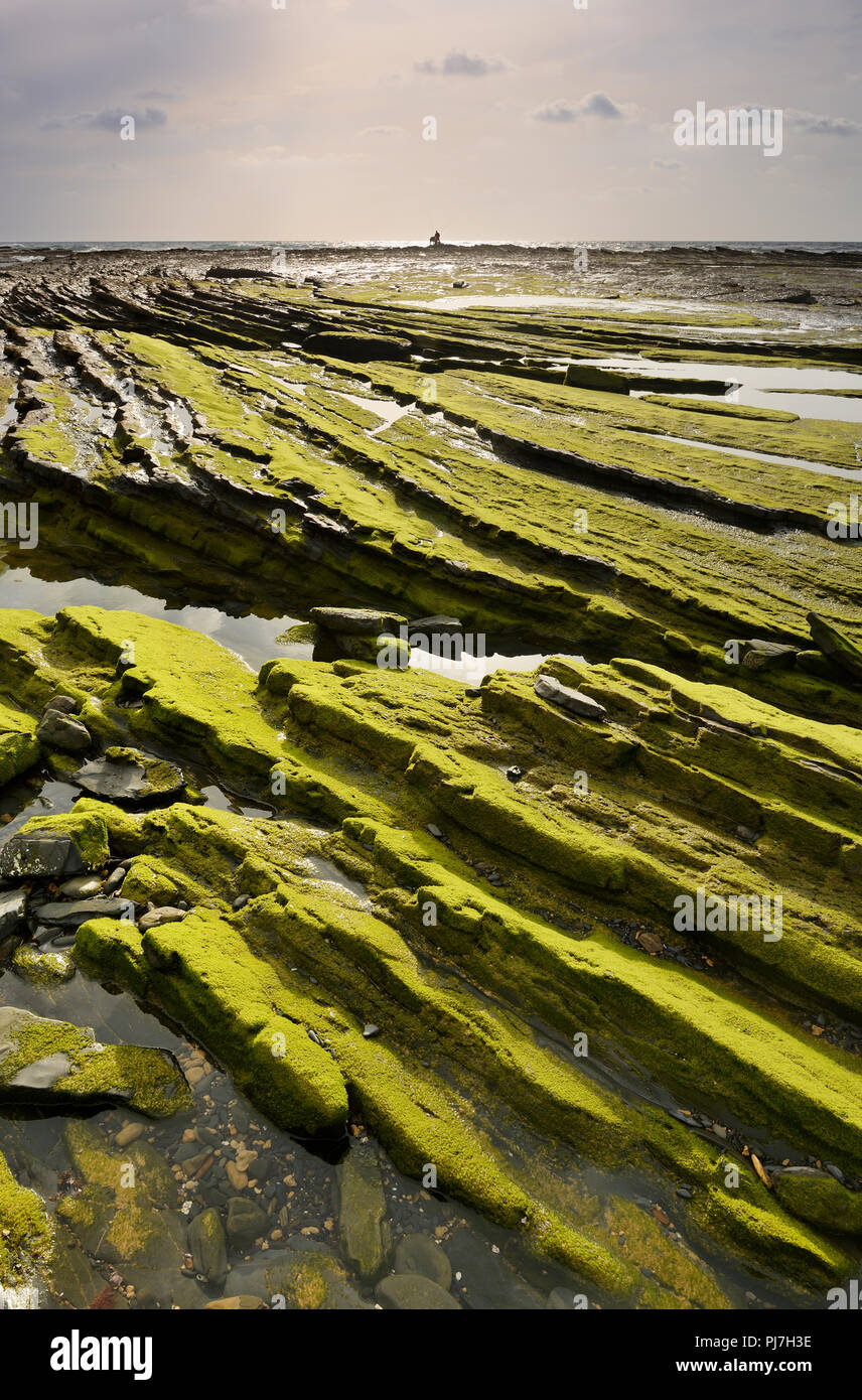 Formations de roche. Parc Naturel du Sud-Ouest Alentejano et Costa Vicentina, le plus sauvage de la côte atlantique en Europe. Algarve, Portugal Banque D'Images
