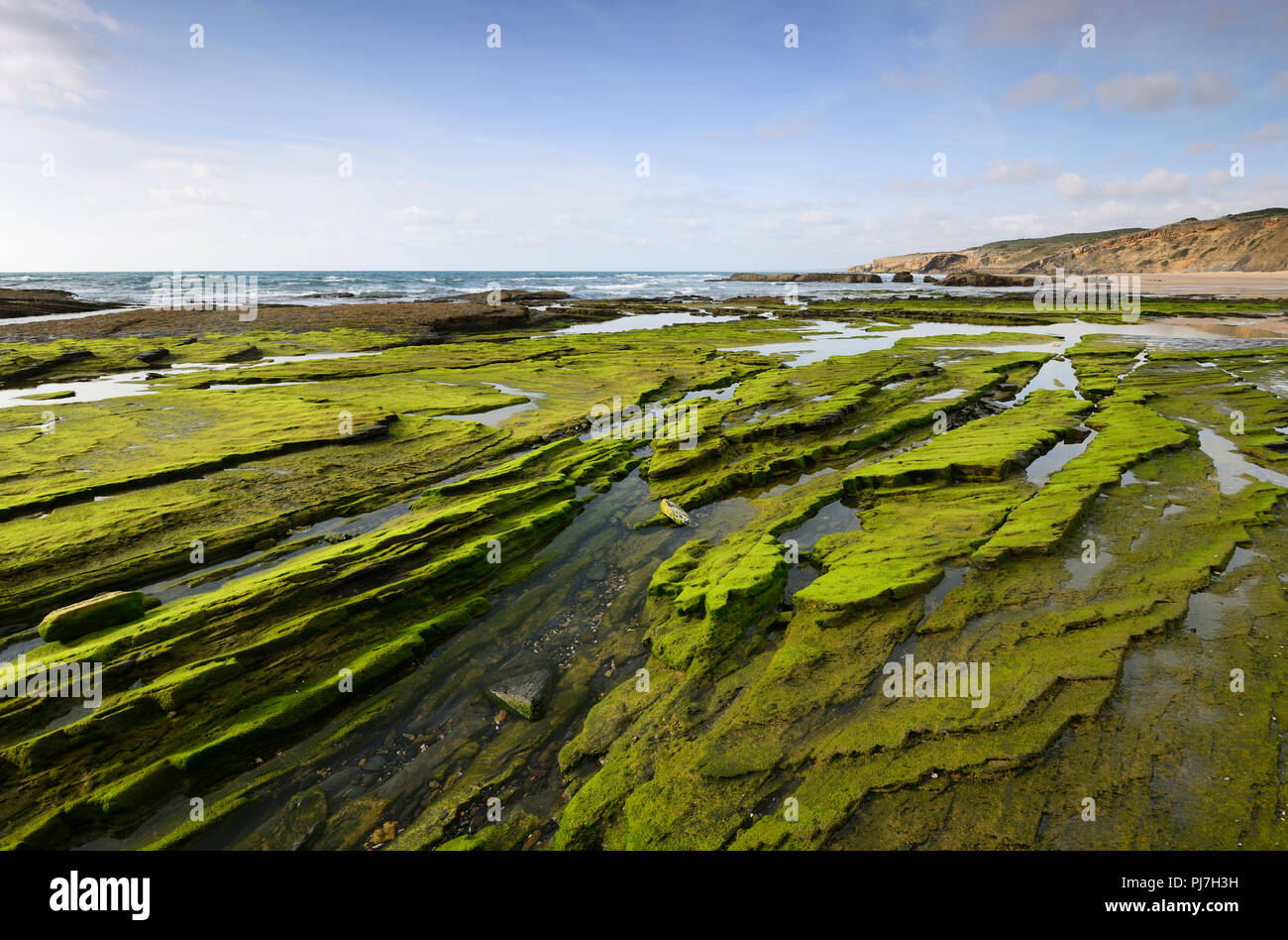Formations de roche. Parc Naturel du Sud-Ouest Alentejano et Costa Vicentina, le plus sauvage de la côte atlantique en Europe. Algarve, Portugal Banque D'Images