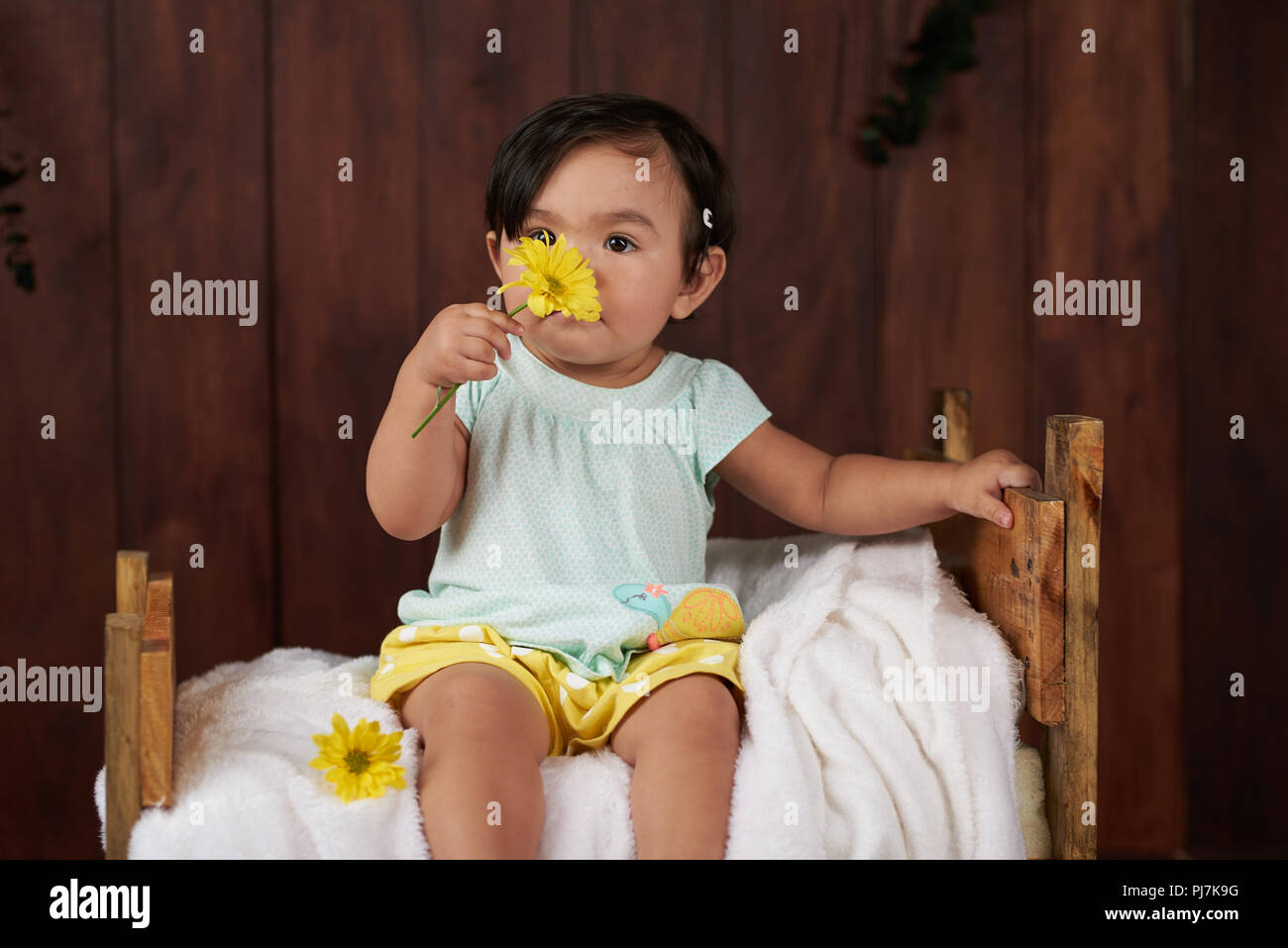 L'odeur de fille de bébé fleur sur fond de studio en bois foncé Banque D'Images