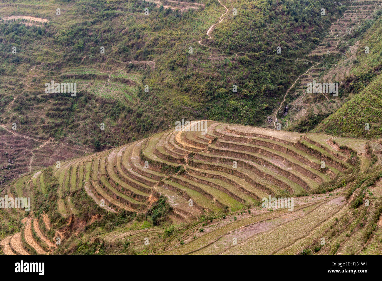 Ha Giang, Vietnam - Mars 18, 2018 : Rizières en terrasses pittoresques dans les montagnes du nord du Vietnam Banque D'Images