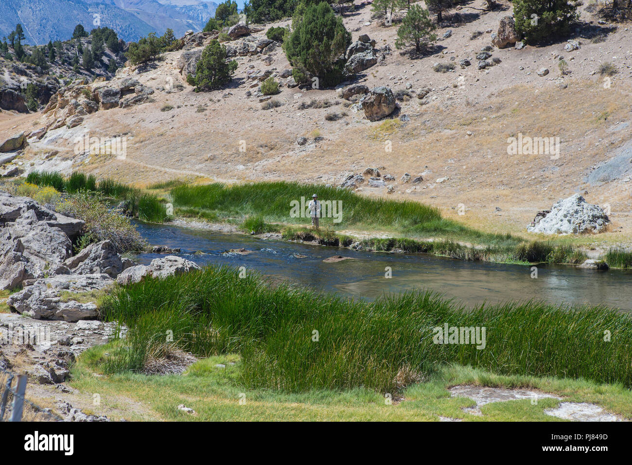 Pêcheur sur la rive de la rivière Owens au ruisseau chaud zone truite sauvage en Mono County California USA Banque D'Images
