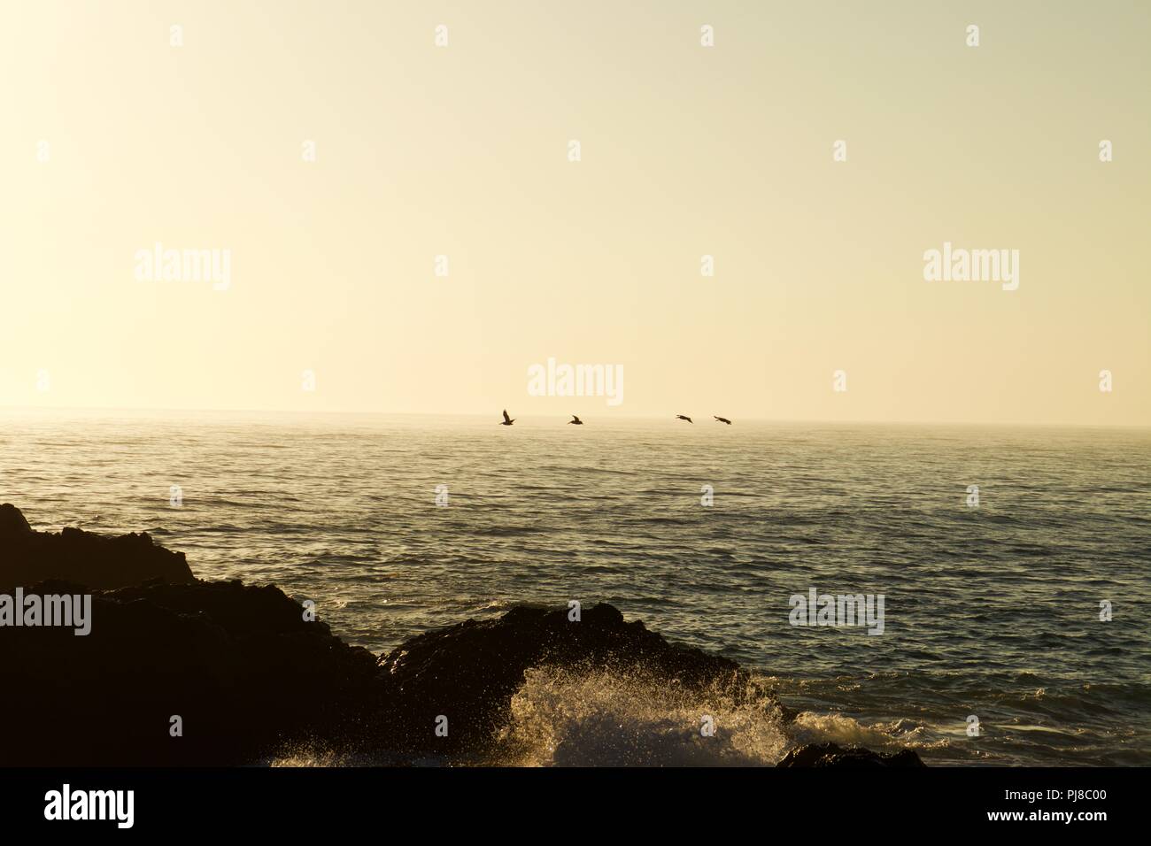 Point Dume lever du soleil avec des pélicans dans la distance Banque D'Images