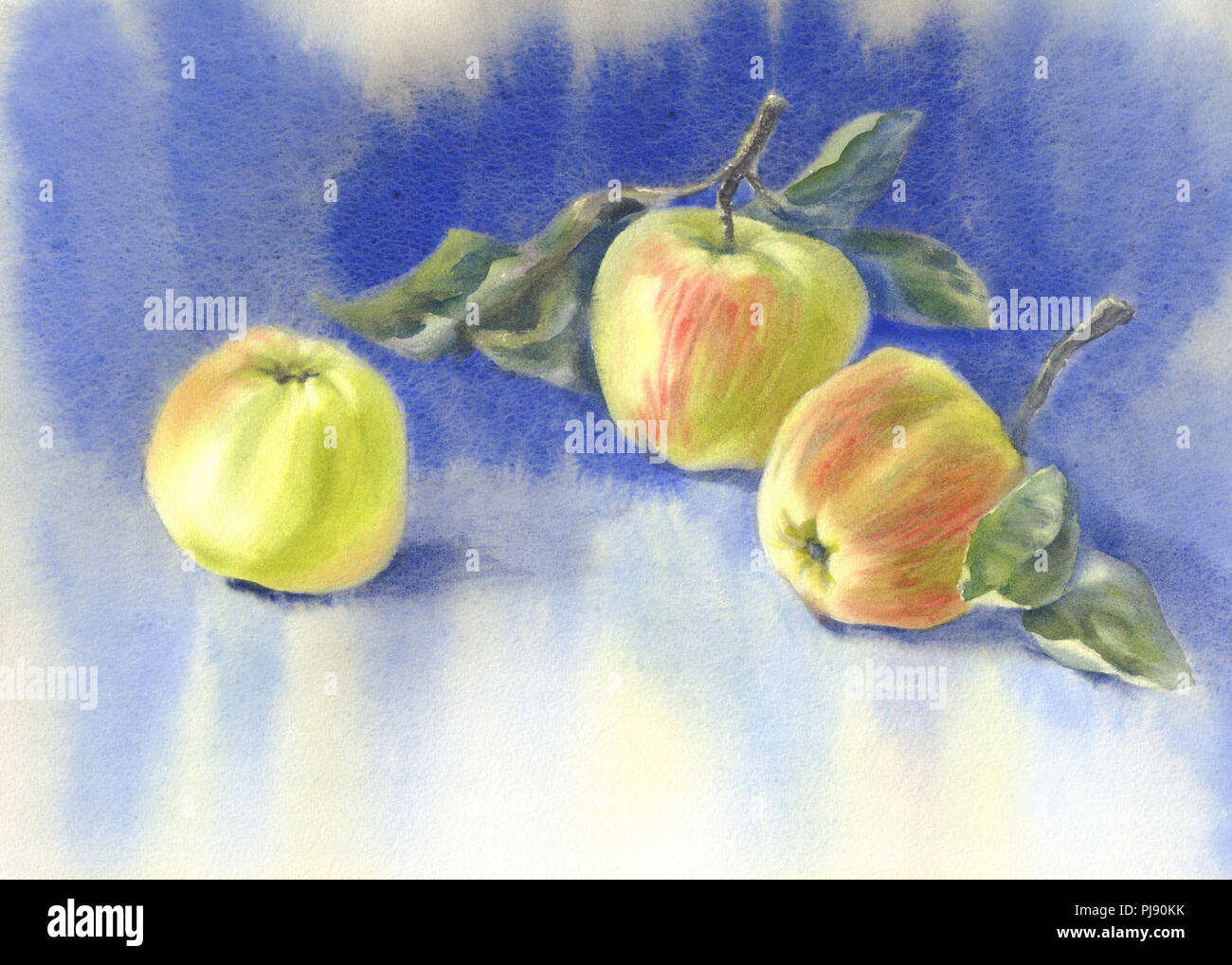 Dans les pommes jaunes le fond bleu aquarelle Nature morte Banque D'Images