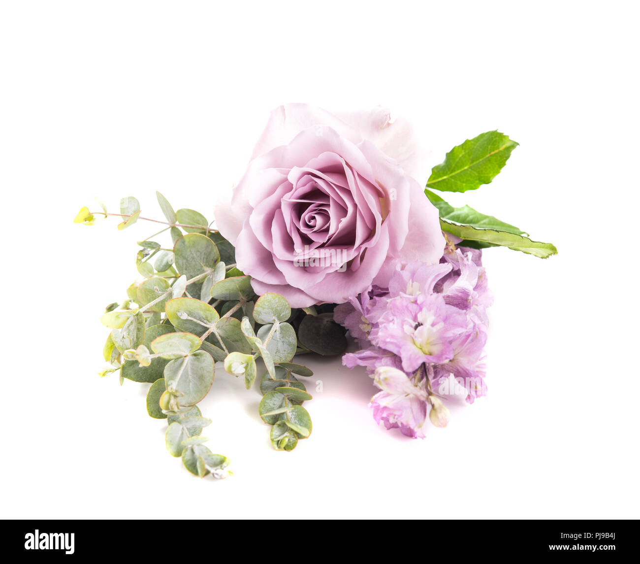 Fleur rose mauve et vert feuilles sur fond blanc, isolé petit arrangement  Photo Stock - Alamy