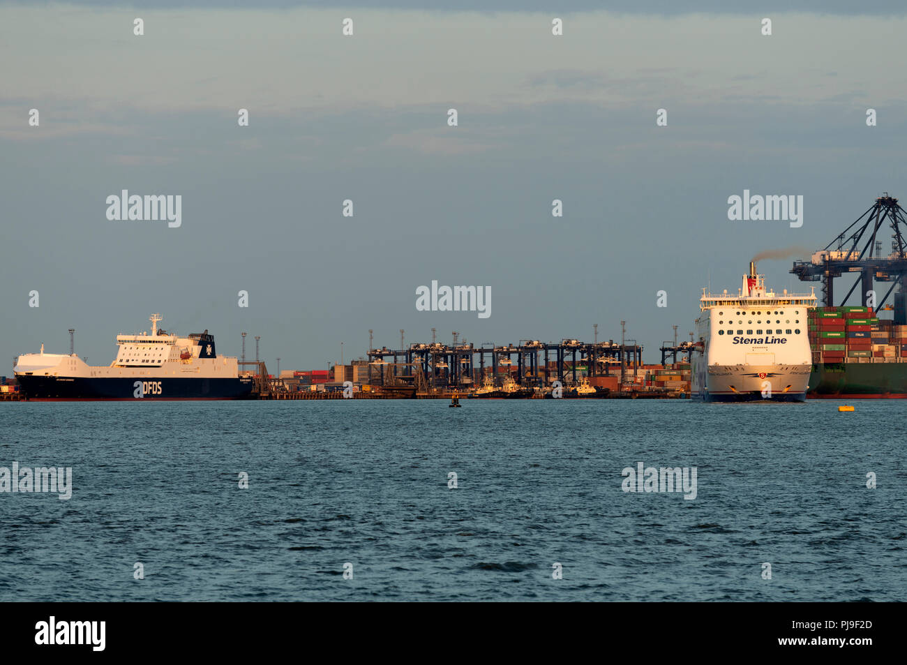 DFDS et Stena Line roll-on roll-off ferries Banque D'Images