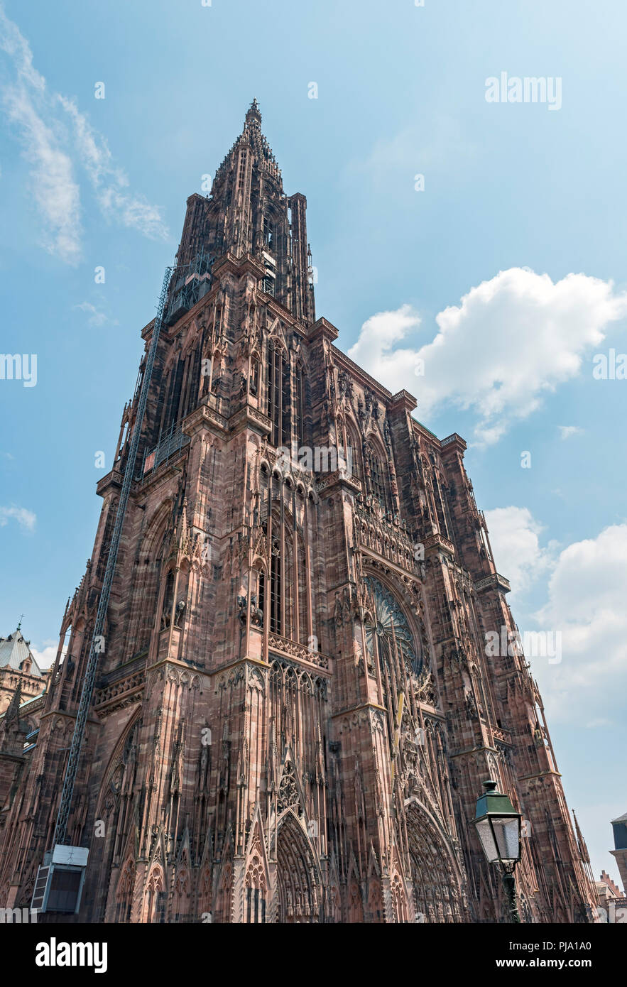 Cathédrale de Notre Dame de Strasbourg, France Banque D'Images