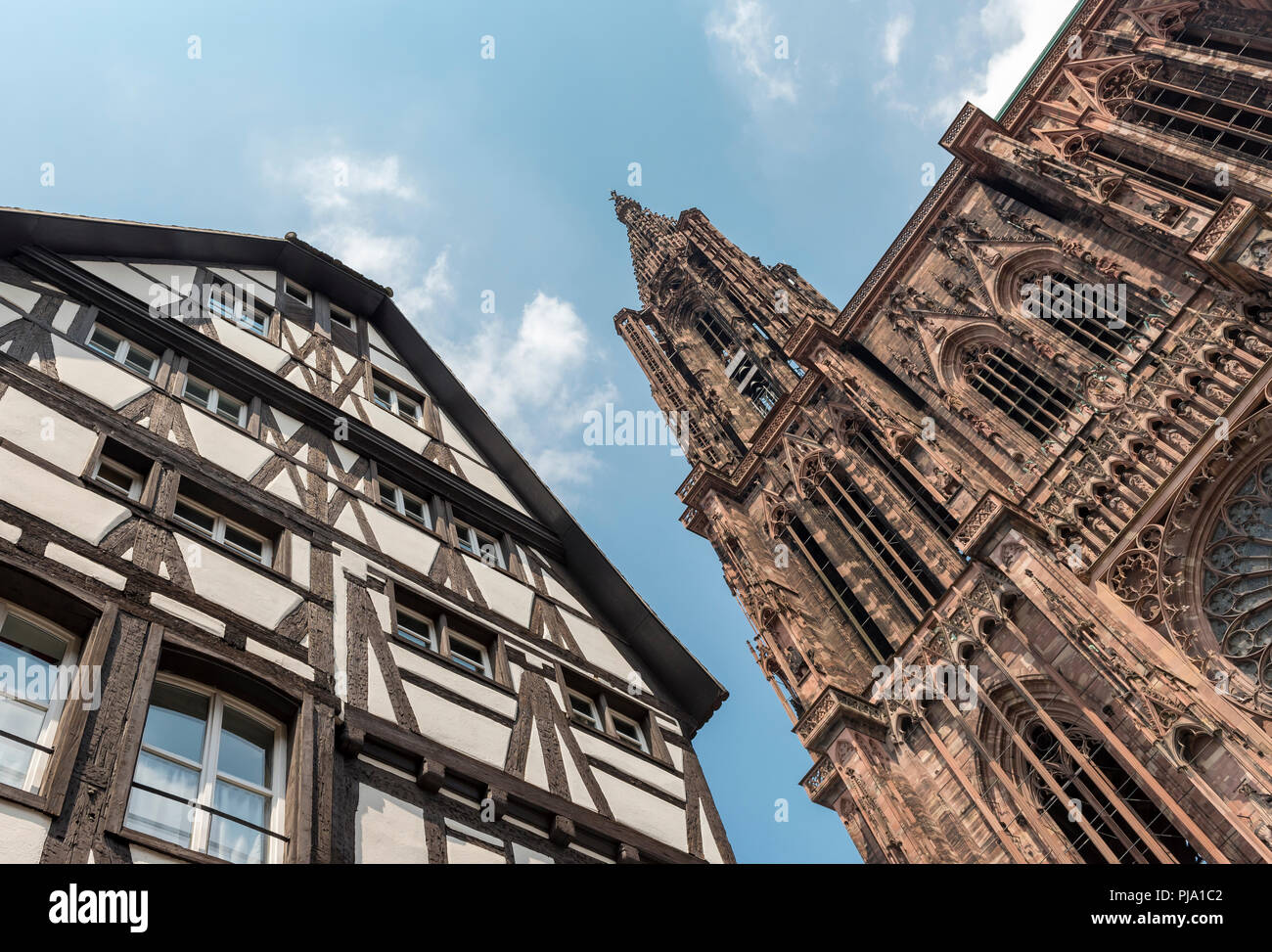 Cathédrale de Notre Dame de Strasbourg, France Banque D'Images