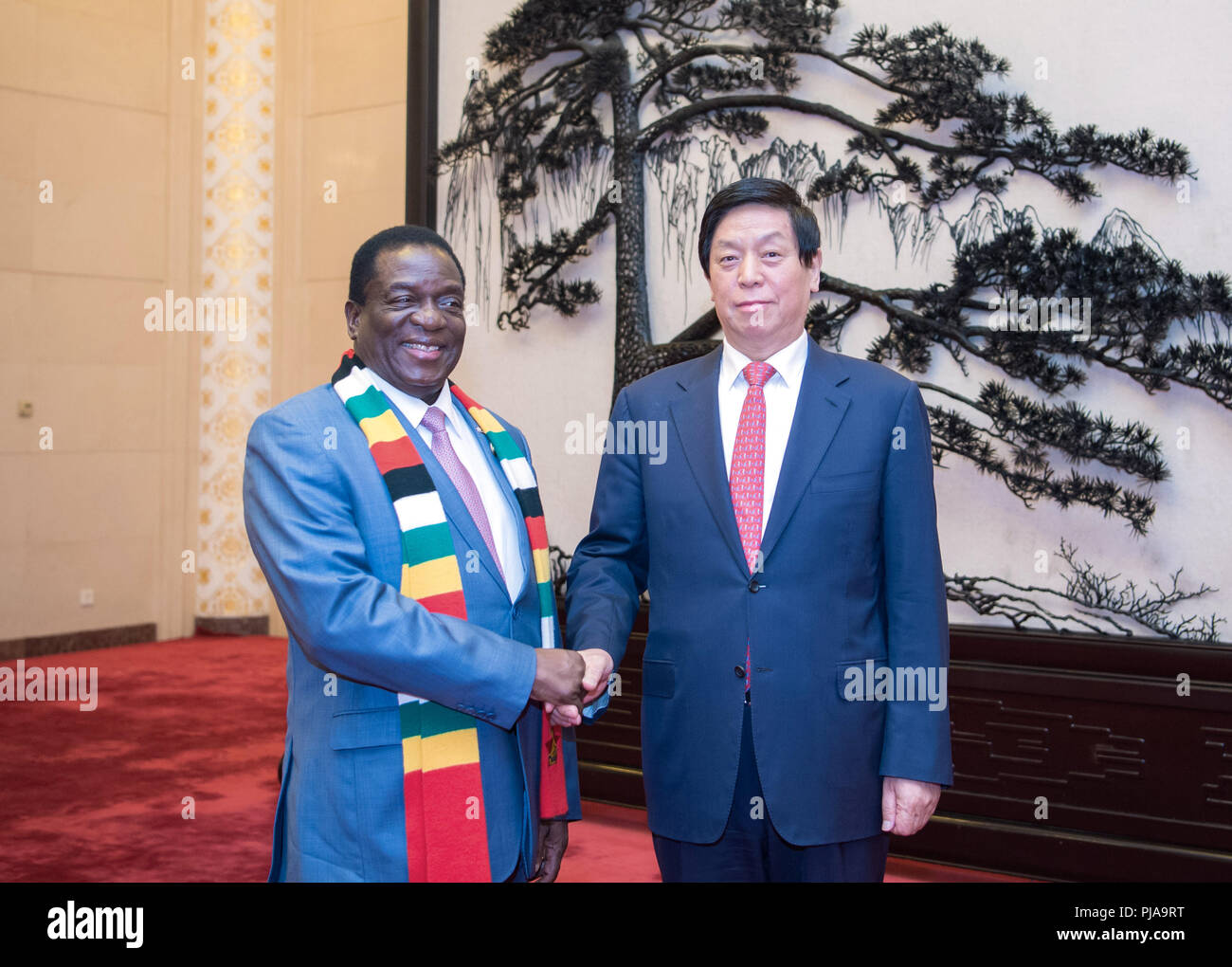 Beijing, Chine. 12Th Mar, 2018. Li Zhanshu (R), président du Congrès national du peuple Comité permanent, se réunit avec le Président zimbabwéen Emmerson Mnangagwa dans le Grand Hall du Peuple à Beijing, capitale de Chine, le 5 septembre 2018. Credit : Zhai Jianlan/Xinhua/Alamy Live News Banque D'Images