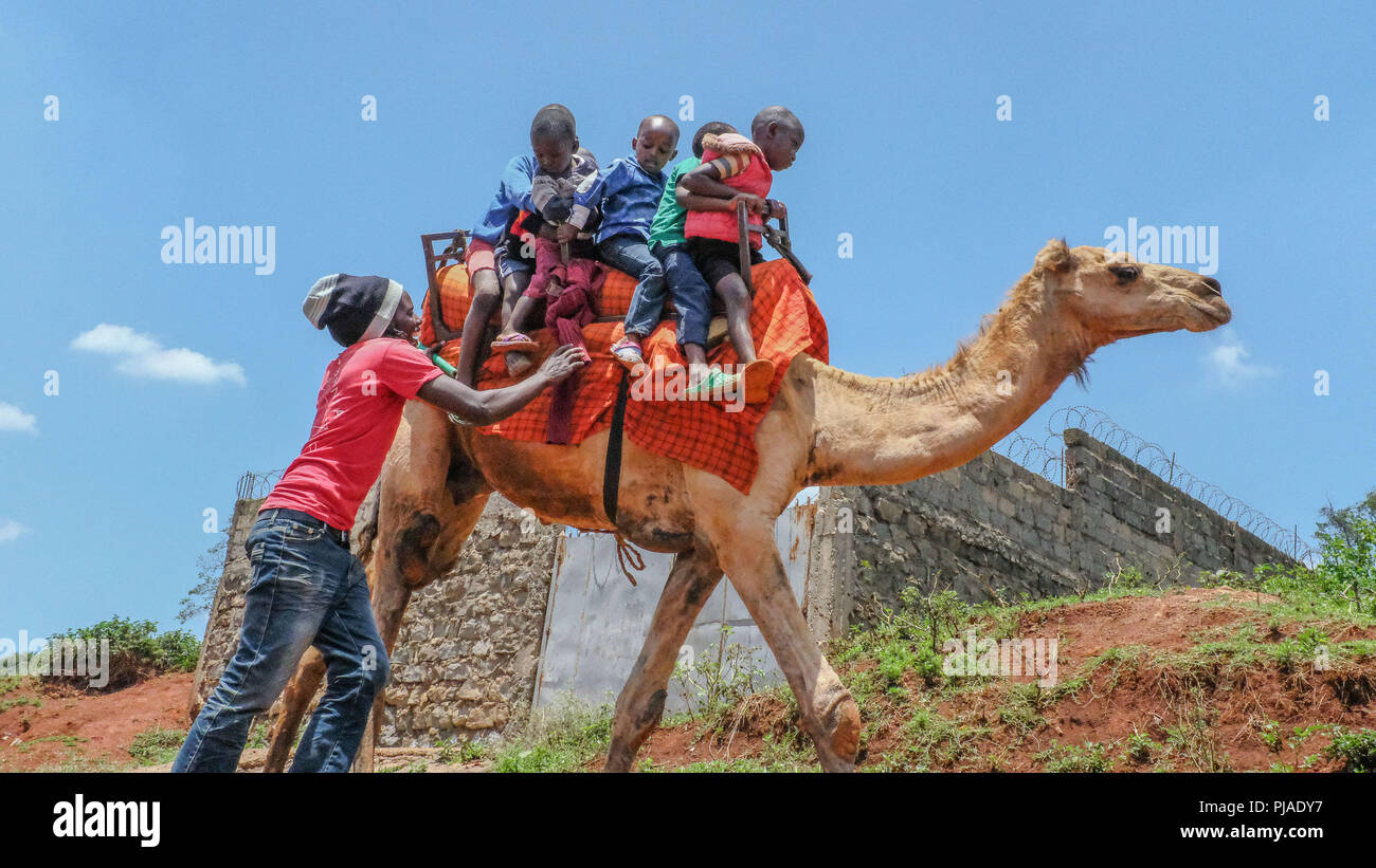 Nairobi, Kenya. 24Th Mar, 2018. Enfants de la région autour de Kibera vu heureusement appréciant gratuitement une tour de chameau.Kibera est l'un des plus grands bidonvilles de l'Afrique situé en Afrique de l'Est, au Kenya. Credit : Donwilson Odhiambo SOPA/Images/ZUMA/Alamy Fil Live News Banque D'Images