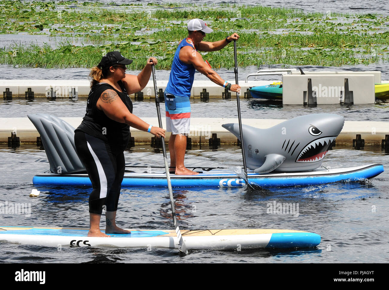 Orlando, Floride, USA. 5 septembre 2018 - Orlando, Floride, États-Unis - Personnes ride paddle boards au Surf Expo le 5 septembre 2018 à Bill Frederick Park at Turkey Lake à Orlando, Floride. (Paul Hennessy/Alamy) Crédit : Paul Hennessy/Alamy Live News Banque D'Images