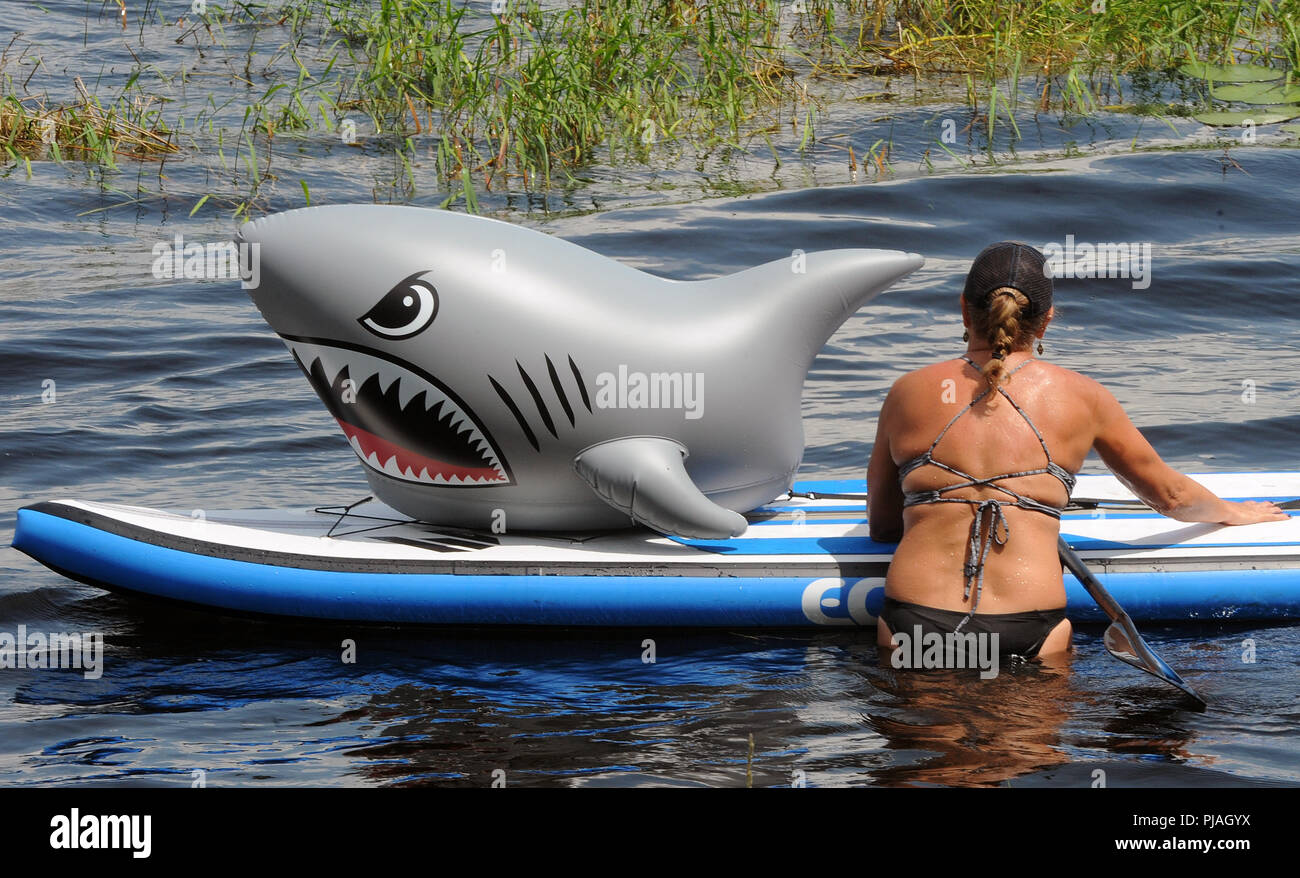 Orlando, Floride, USA. 5 septembre 2018 - Orlando, Floride, États-Unis - Une femme s'apprête à monter un paddle board avec un requin gonflable à la Surf Expo le 5 septembre 2018 à Bill Frederick Park at Turkey Lake à Orlando, Floride. (Paul Hennessy/Alamy) Crédit : Paul Hennessy/Alamy Live News Banque D'Images