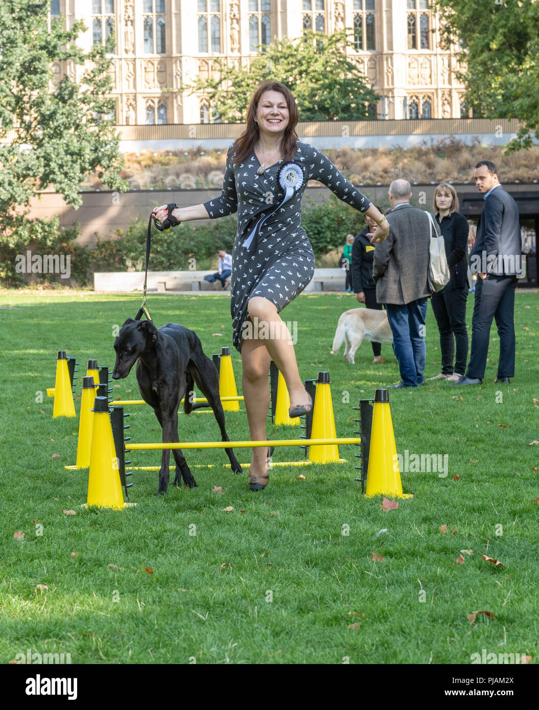 Londres, Royaume-Uni. 6 septembre 2018 Westminster Dog de l'année cas à Victoria Tower Gardens, London, UK. Sue Hayman MP avec son chien de sauvetage Crédit Hugo Ian Davidson/Alamy Live News Banque D'Images