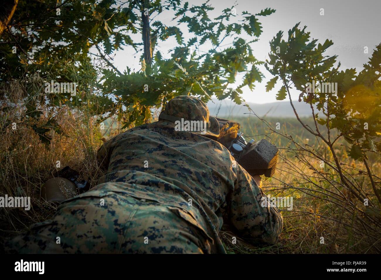 La Marine américaine avec une force de rotation de la mer Noire 18.1 observe un champ de tir réel en utilisant un système Sabre lors d'un déploiement d'entraînement physique à Novo Selo, la Bulgarie, le 2 juillet 2018. Marines avec des armes Company, 1er Bataillon, 6e Régiment de Marines, a organisé cinq jours de plages de tir réel, améliorer leurs capacités opérationnelles. Banque D'Images