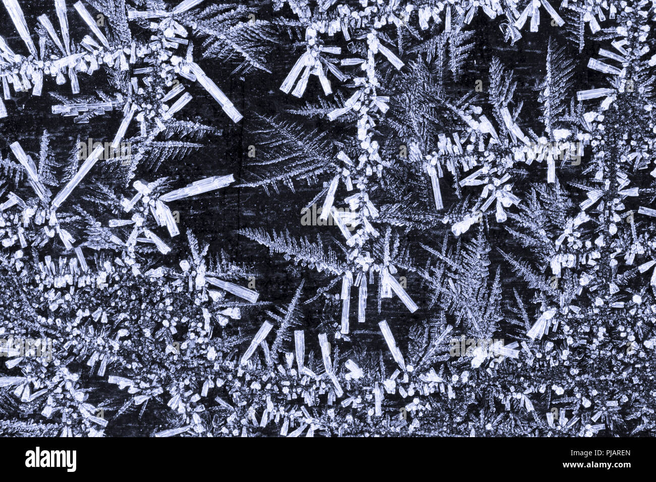 Structure détaillée des cristaux de givre Banque D'Images