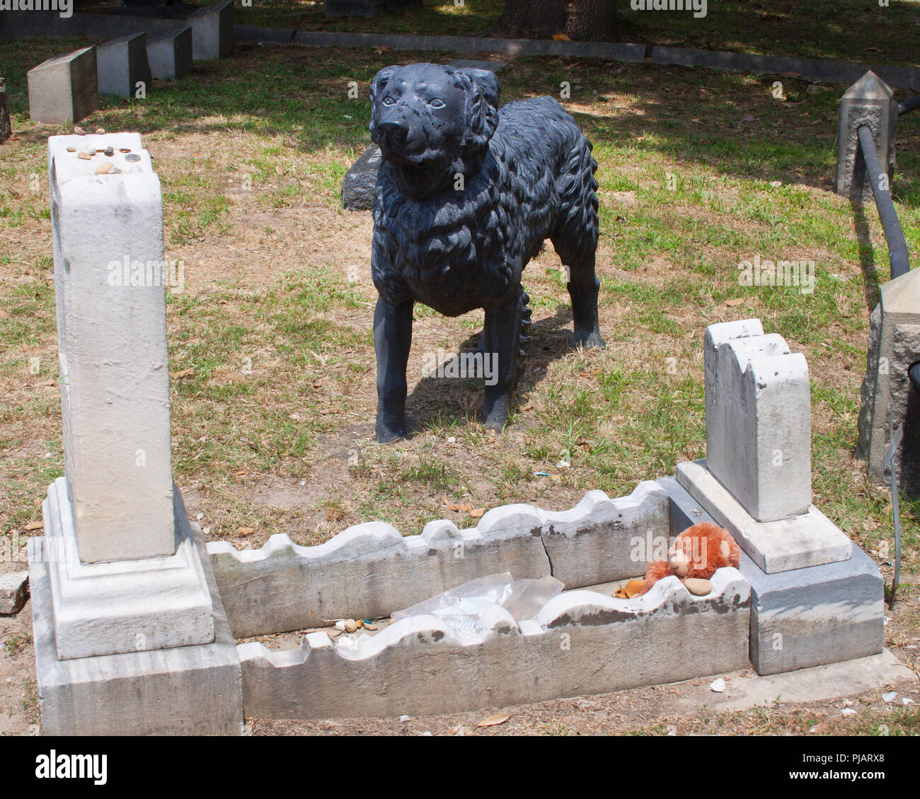 Tombe de chien Banque de photographies et d’images à haute