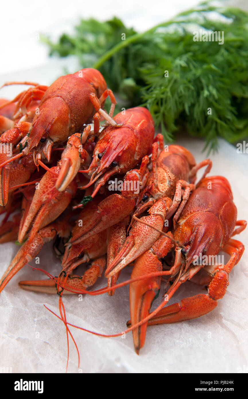 La langouste bouillie avec de l'aneth sur fond clair. Banque D'Images