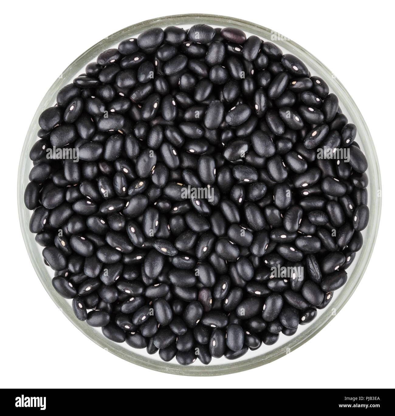 Les haricots noirs isolé sur fond blanc avec clipping path Banque D'Images