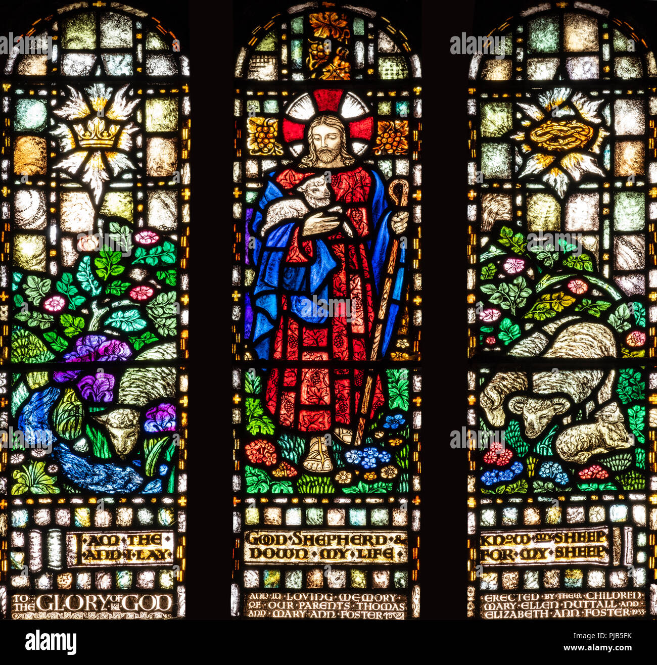 Le Bon Pasteur, une fenêtre, par la guilde de Bromsgrove, 1933 l'église de St Oswald, Ashbourne, Derbyshire, Royaume-Uni Banque D'Images