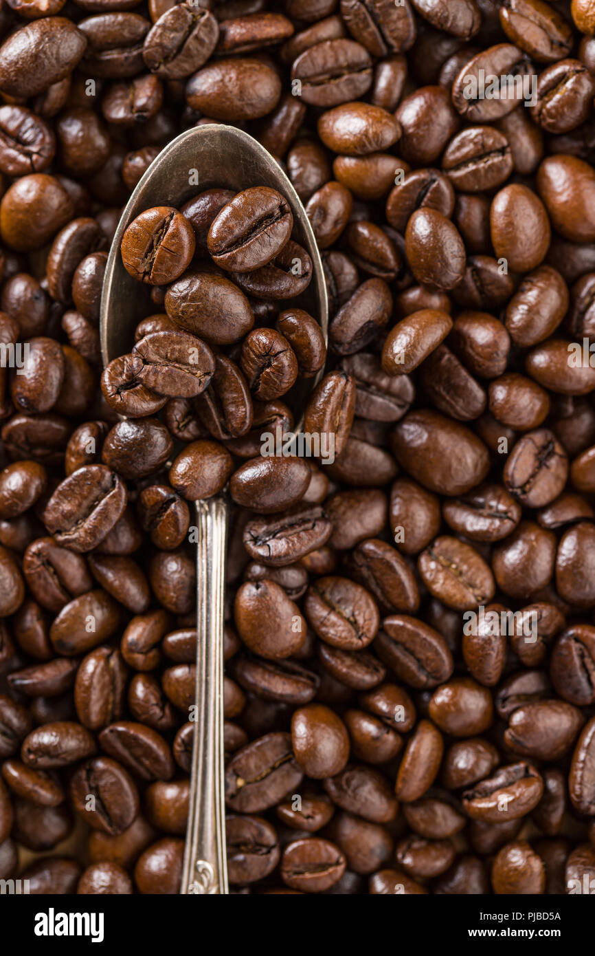Les grains de café torréfié en cuillère. Banque D'Images