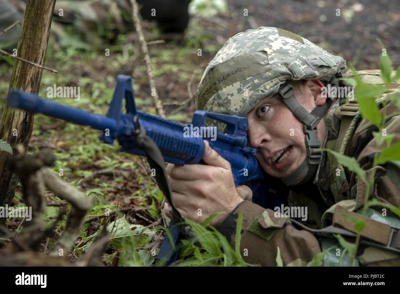 Tech. Le Sgt. Aaron Chamberlain, 374e moteur de base Groupe de Maintenance manager, fournit la sécurité lors d'un mouvement de l'équipe interarmes au camp du centre de formation, le Japon Fuji. La formation est aussi inclus : les munitions non explosées, collection de la causalité, Self-Aid , Soins de Buddy, mouvement de l'équipe courir après la navigation, reconnaissance et d'attaque à un masque à gaz Chambre de confiance. Banque D'Images