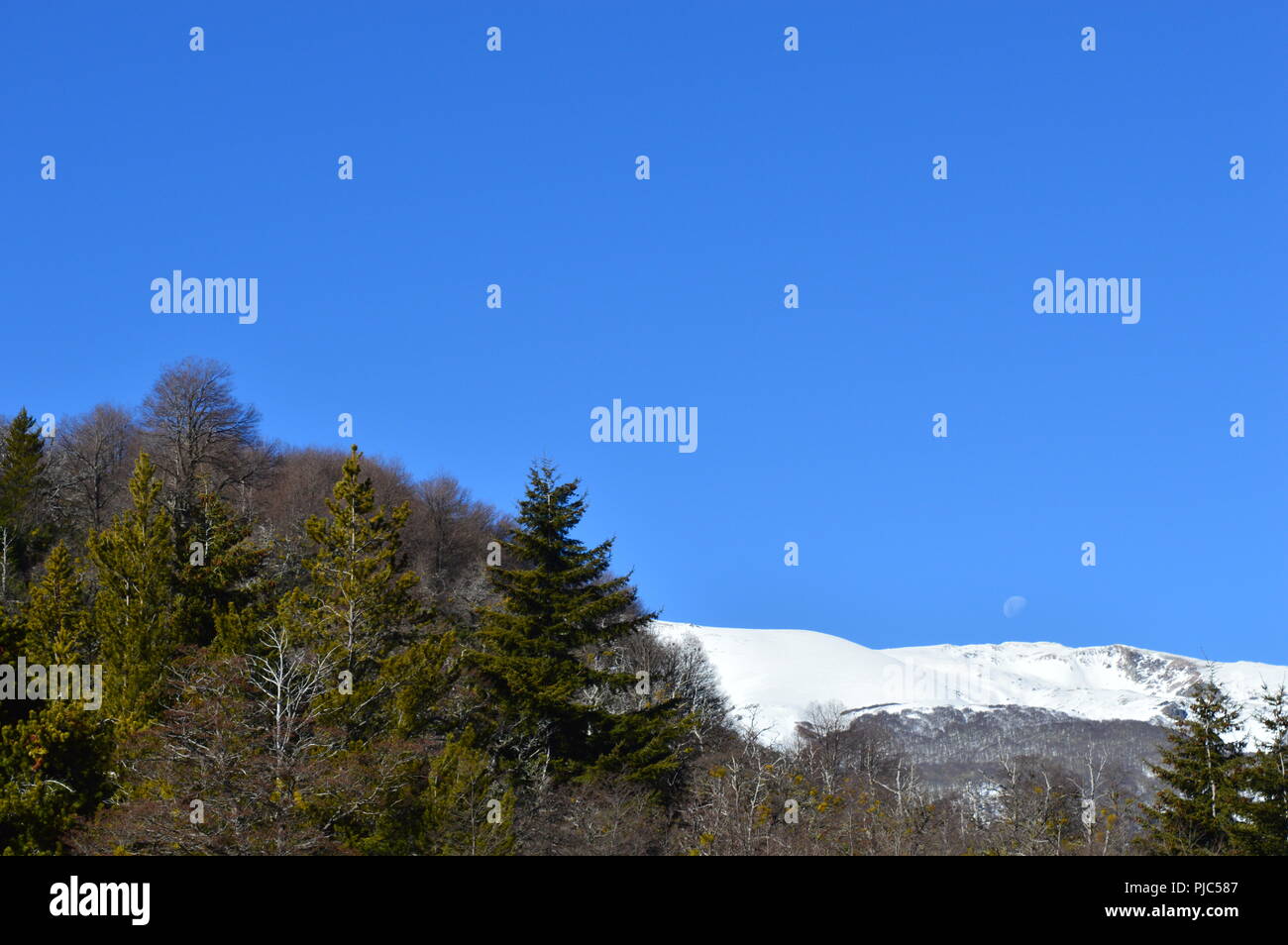 Paisaje Sur Argentino Banque D'Images