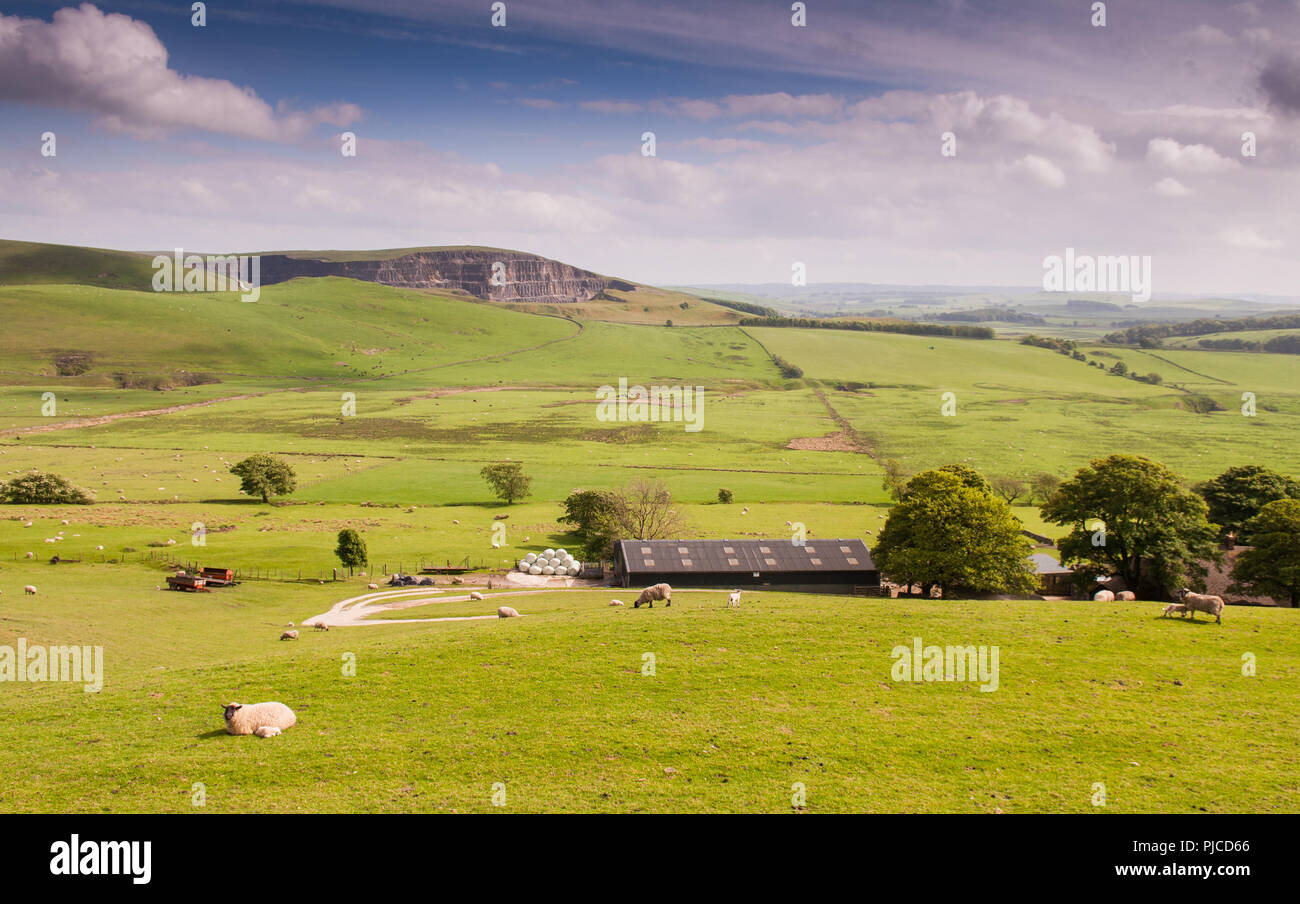 La cicatrice de la carrières désaffectées à Eldon colline dans la zone de Pic Blanc de l'Angleterre de la parc national de Peak District, vu de Rushup Edge. Banque D'Images