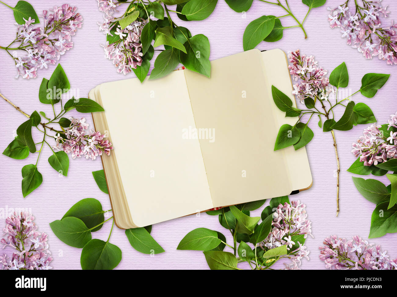 Fleurs lilas et un ordinateur portable sur le papier de fond. Mise à plat. Vue d'en haut. Banque D'Images
