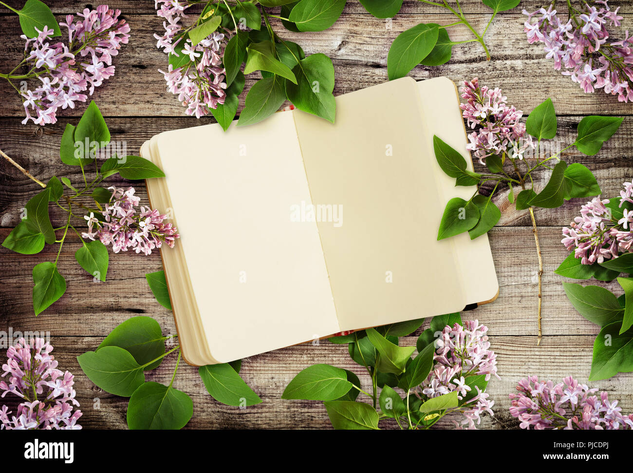 Fleurs lilas et un ordinateur portable sur fond de bois. Mise à plat. Vue d'en haut. Banque D'Images