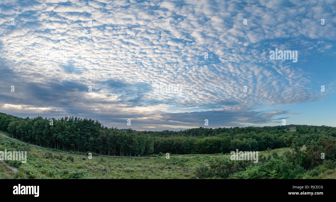 De superbes maquereaux ciel cirrocumulus altocumulus formations in Summer Sky landscape Banque D'Images