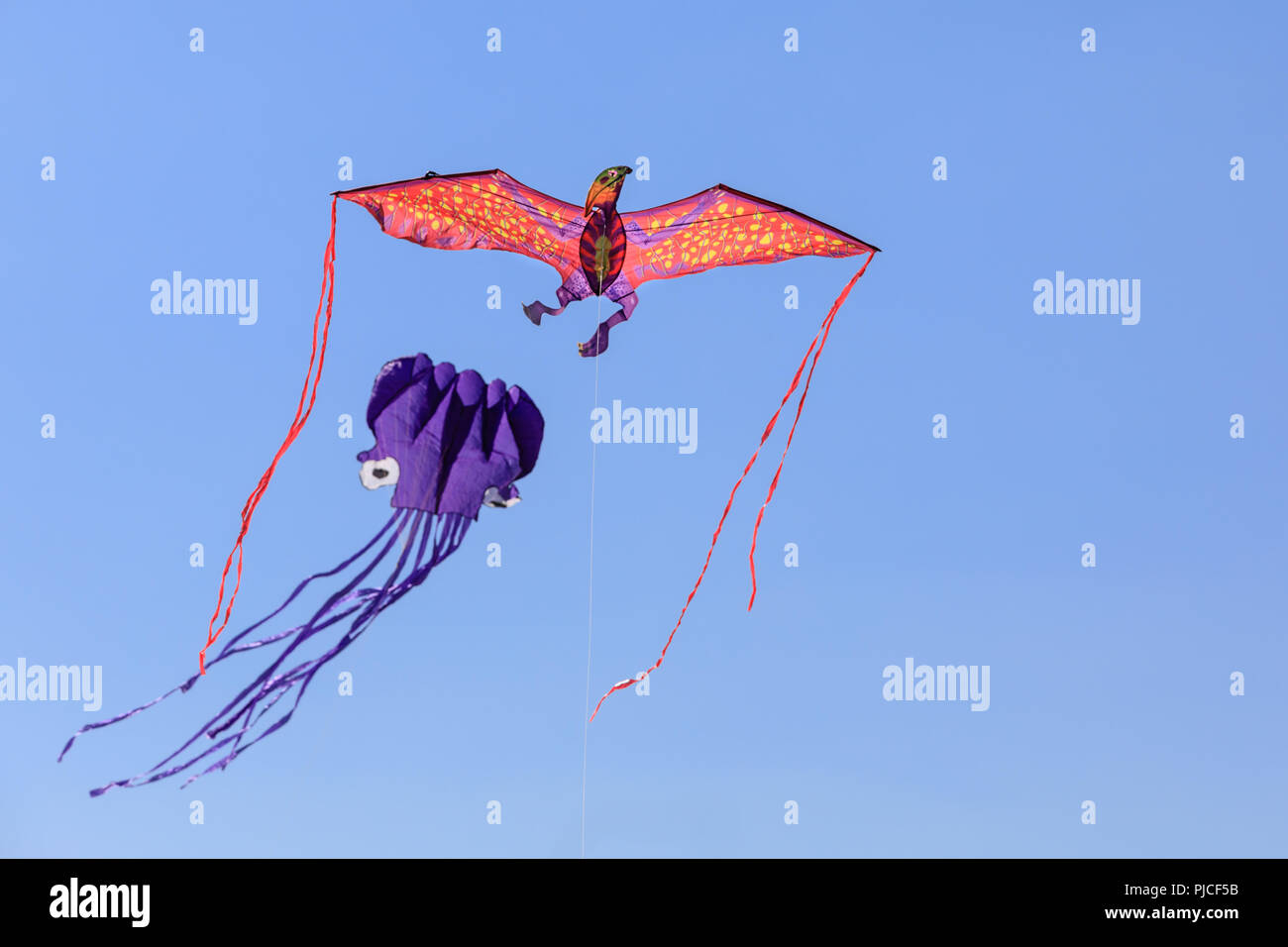 Cerfs-volants colorés voler contre ciel bleu profond Banque D'Images